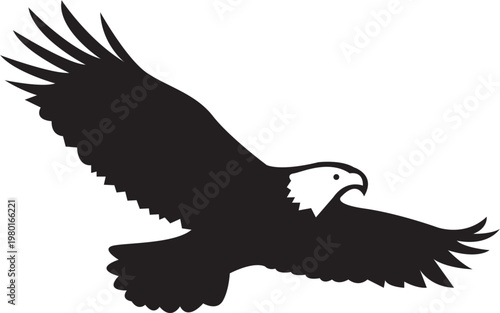 A majestic bald eagle soars with wings spread wide silhouette