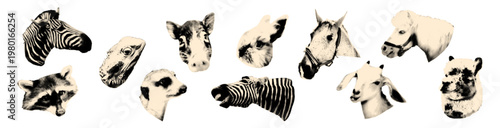Animals heads halftone art collage cut out elements set Horse, goat and raccoon, pig, llama and iguana, rabbit and meerkat Pet, domestic, farm and wild animal stickers Modern retro vector illustration