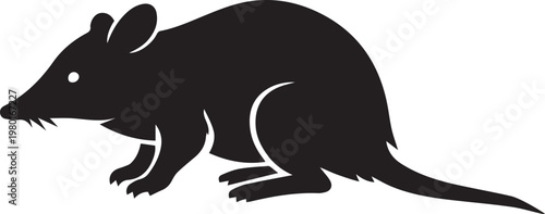 Black silhouette of a bandicoot or bilby with long snout bandicoot marsupial silhouette illustration wildlife australia creature minimalist insectivore