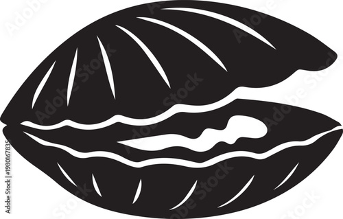 Open clam shell silhouette with silhouette interior illustration isolated ligament