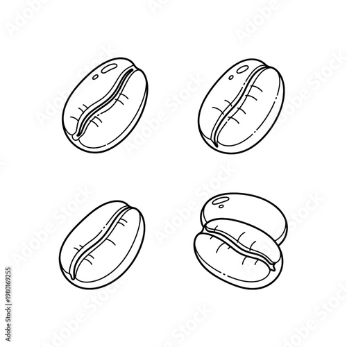 Four coffee beans illustration, perfect for cafe and coffee shop designs.