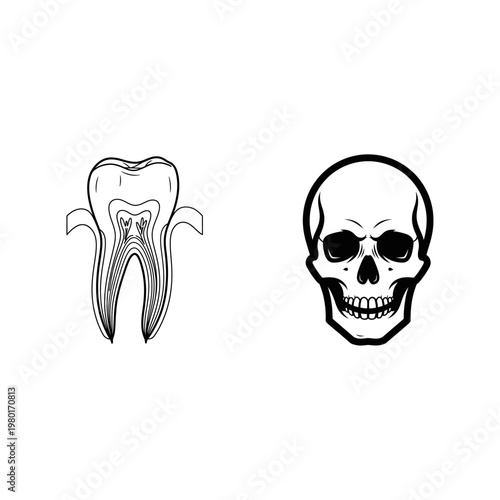 Illustration of a stylized tooth and a human skull silhouette, graphic elements
