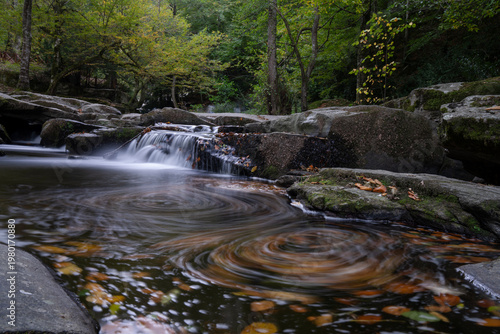 Small Forest Waterfall Peaceful Nature Stream Scene