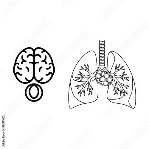 Human Anatomy Icons Brain and Lungs Graphic Representation for Medical and Health Concepts