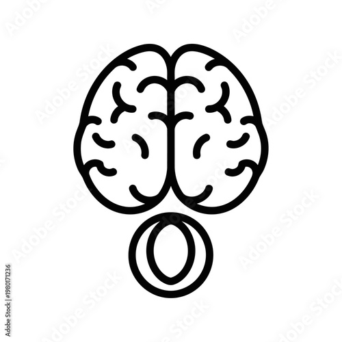 Illustration of a stylized human brain with a cerebellum section below it