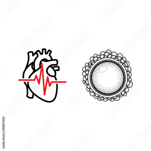 Heartbeat and Oocyte Icon Representation of Life and Health