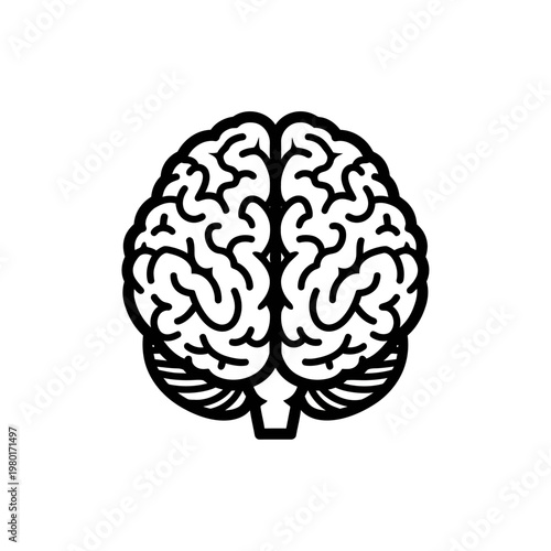 Human Brain Outline Illustration - Medical and Science Concept