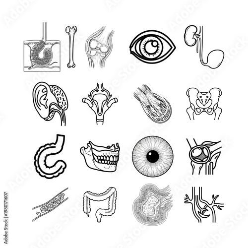 Human Anatomy Medical Science Organ Body Parts Icons