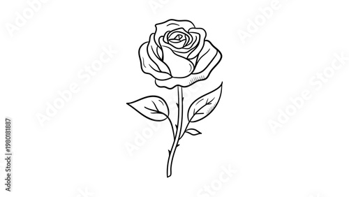 Minimalist black line vector icon illustration of a blooming rose flower with a long thorny stem and two leaves, hand-drawn outline style on a white background, scalable SVG graphic for design.