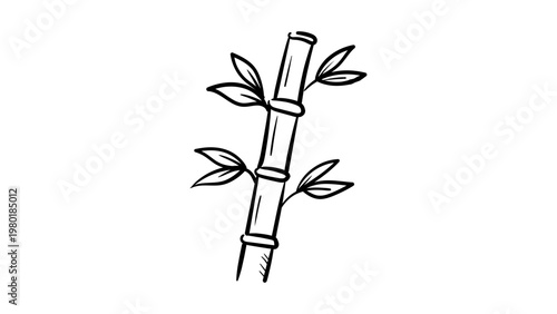 Minimalist black line vector icon of a bamboo stalk with leaves, hand-drawn illustration on a white background. Scalable SVG graphic for nature, spa, wellness, and Asian culture themed designs.