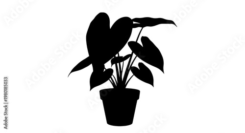 A striking black silhouette of a potted houseplant with large leaves