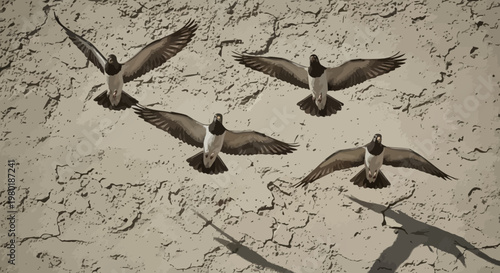 Birds in flight against textured background with copy space for design