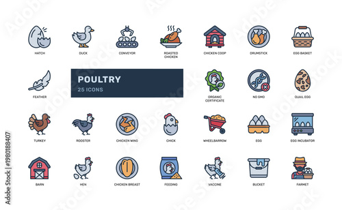 Poultry Colored Outline Icon Set Farm Chicken Livestock Symbol