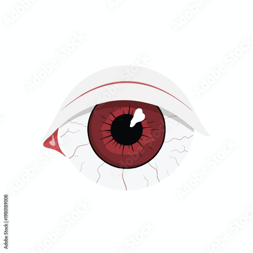 Close Up of a Human Eye with Red Iris and Eye Details