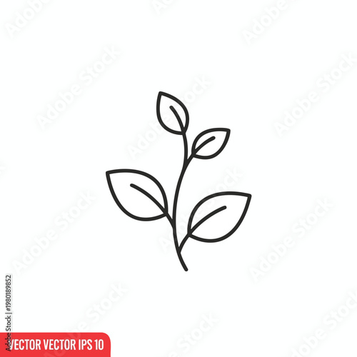 Minimalist Black and White Line Drawing of a Plant with Leaves