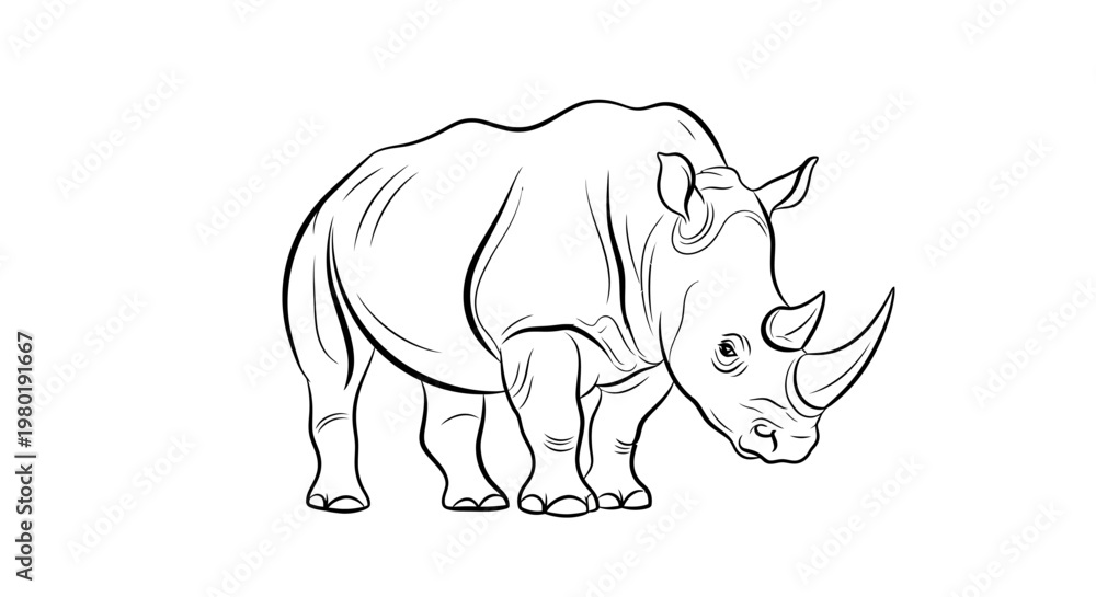 Fototapeta premium Line art illustration of a rhinoceros in profile on a white background