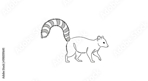 Line drawing of a raccoon with striped tail on white background