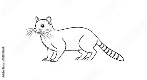 Black and white drawing of a ring tailed creature on a white background