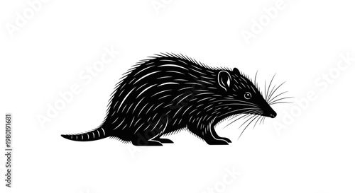 Black rat illustration on white background for design and commercial use