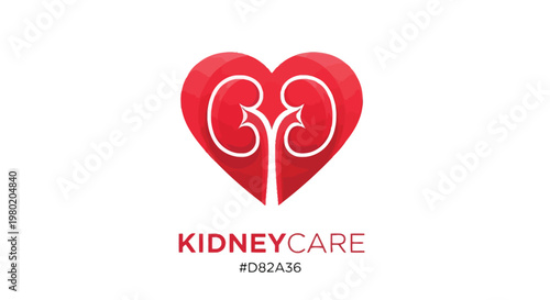 A vibrant red heart shape contains detailed white kidney illustrations representing kidney care awareness