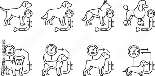 Healthy dog weight management and fitness tracking icons for pet care