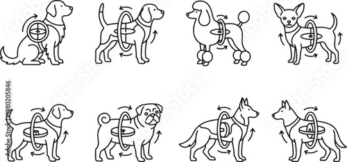 Smart pet motion tracking and dog physical activity monitoring icons