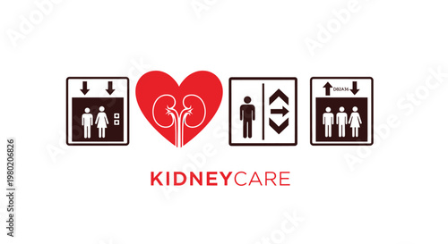 A graphic depicts human figures a heart containing kidneys and elevator symbols promoting kidneycare