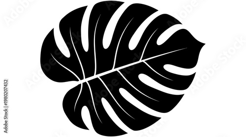 Black Silhouette of Tropical Monstera Deliciosa Leaf Minimalist Vector Illustration