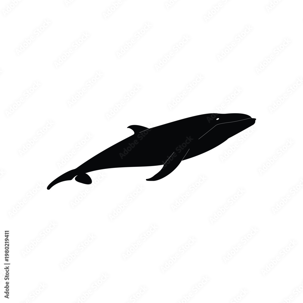 Obraz premium minimal flat fish silhouette illustration simple art design 