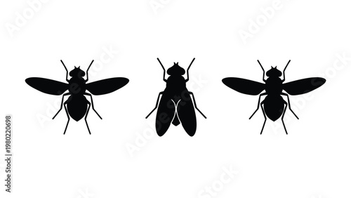 Three Black Fly Silhouettes Set. Top View Insect Graphic Icons on White Background.