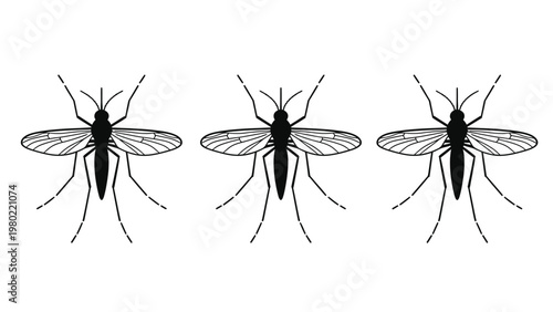 Three black mosquito silhouettes in a row. Vector illustration of insect pests, disease carriers, and tropical wildlife.