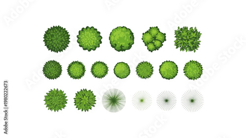 Top-down view of various types of trees and shrubs for landscaping and design