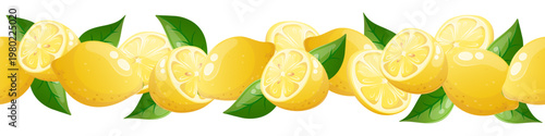 Lemon citrus horizontal border with slices and leaves vector