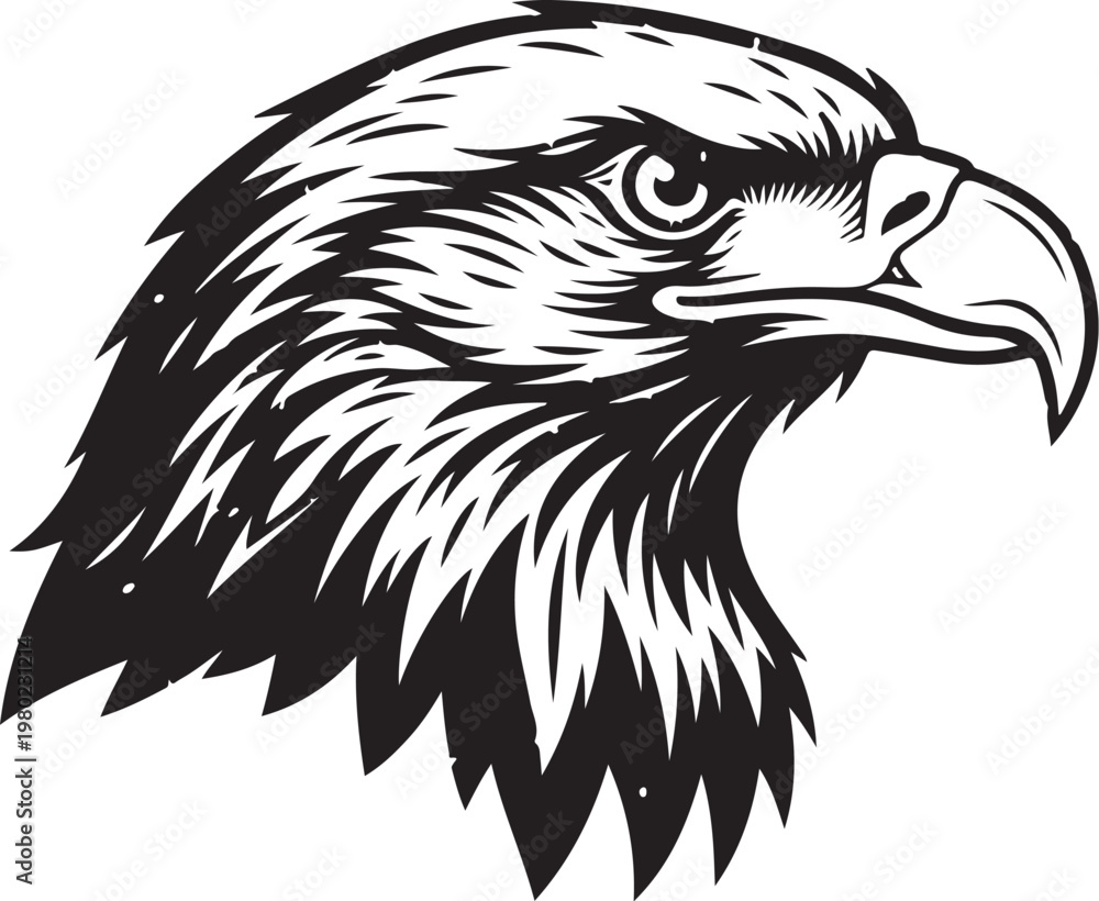Fototapeta premium Majestic Eagle Head in Black and White Illustration