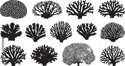 Collection of various coral reef silhouettes and illustrations