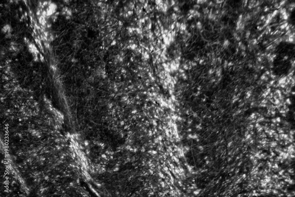 Obraz premium High contrast grain texture black and white 