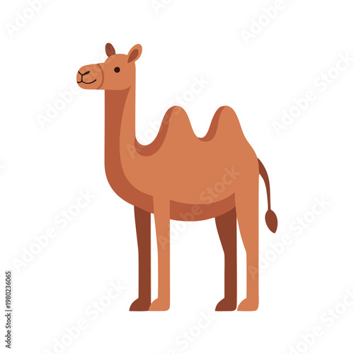 Cartoon Camel Illustration.