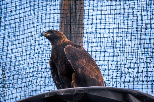 Architectural blueprints with glitch effect and abstract distorted composition design concept