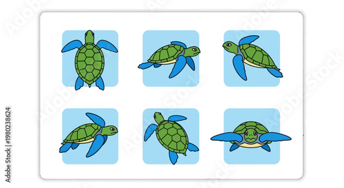Six green sea turtles swimming differently.