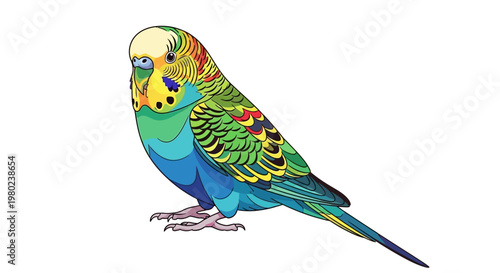 Colorful Parakeet Bird Perched Alone.