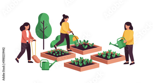Three women tending to vegetable patches in a community garden. EPS Editable. Vector Illustrations.