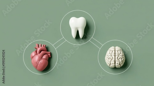 Conceptual Illustration of Heart, Tooth, and Brain Representing Connection and Health in a Minimalist Design