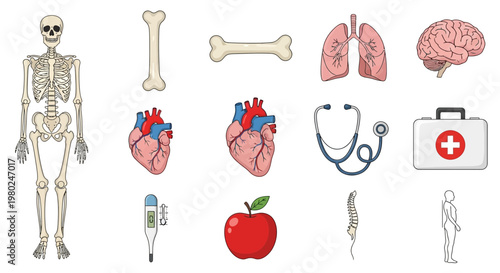 Medical icons and human body parts.