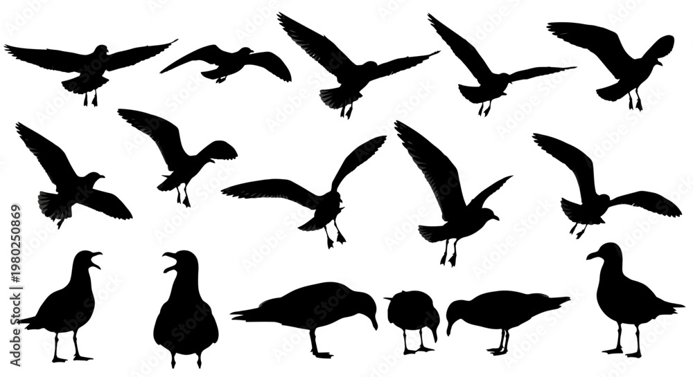 Fototapeta premium Collection of Silhouettes of Seagulls in Various Poses and Flight Patterns