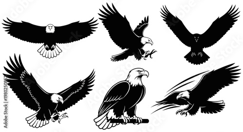 Dynamic Vector Collection of Majestic Eagles in Various Flight and Perching Poses, Symbolizing Power, Freedom, and Wild Nature for Design Projects