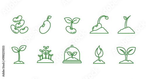 Collection of ten simple green line icons representing different stages of plant growth, from seed to sprout, on a white background