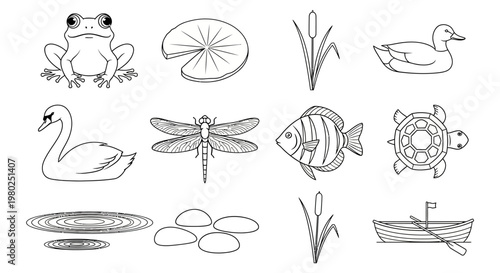 Vector outline set of pond life illustrations with aquatic animals, plants, and elements, perfect for freshwater ecosystem designs and educational content
