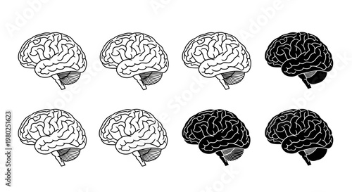 Black and white brain outline illustrations on a plain background, representing intellect and neuroscience in a graphic style