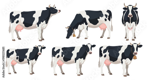 Collection of Black and White Holstein Friesian Cows in Various Poses and Angles