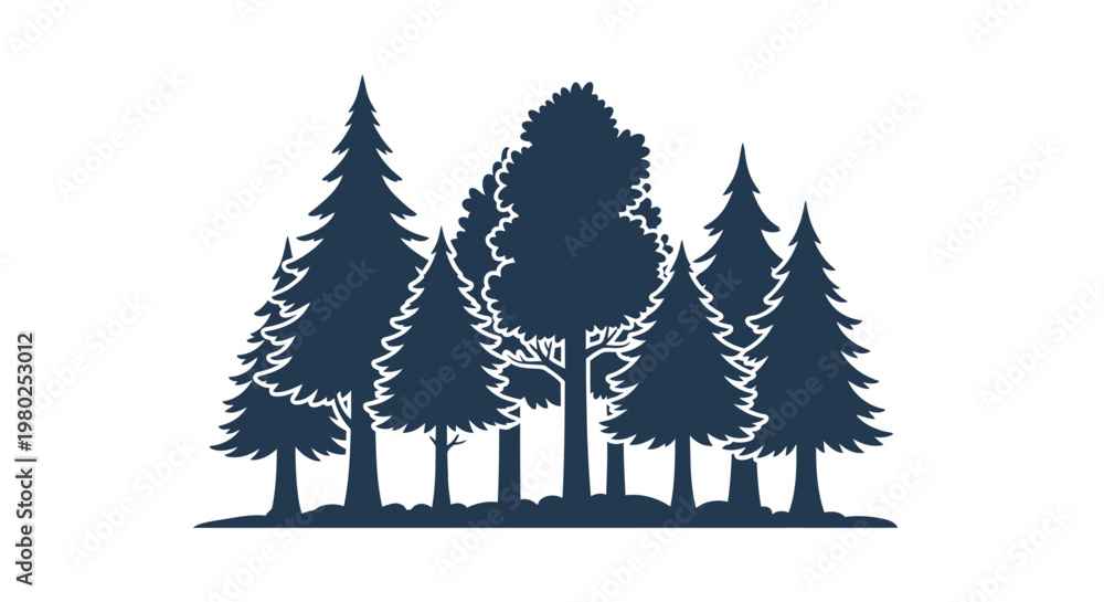 Fototapeta premium Group of Evergreen Pine Tree Silhouettes.